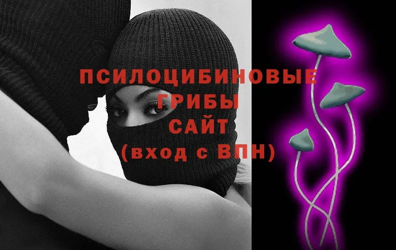 Псилоцибиновые грибы мицелий  продажа наркотиков  Солигалич 